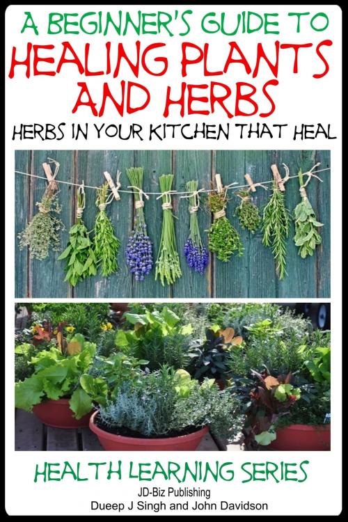 Cover of the book A Beginner’s Guide to Healing Plants and Herbs: Herbs in Your Kitchen that Heal by Dueep Jyot Singh, John Davidson, JD-Biz Corp Publishing