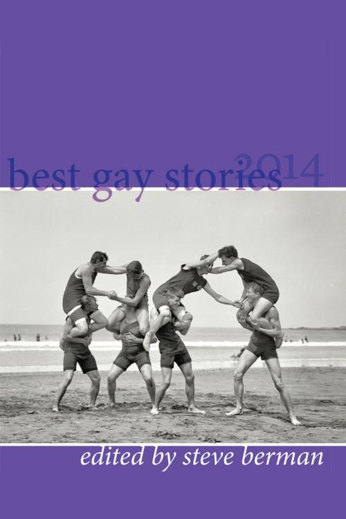 Cover of the book Best Gay Stories 2014 by Steve Berman, Lethe Press