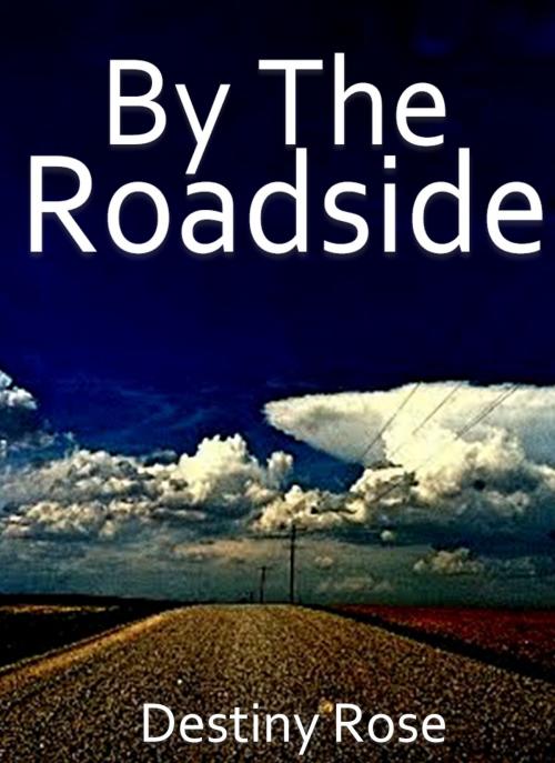 Cover of the book By The Roadside by Destiny Rose, Destiny Rose