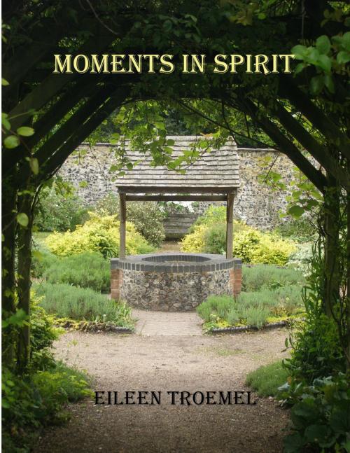 Cover of the book Moments in Spirit by Eileen Troemel, Eileen Troemel