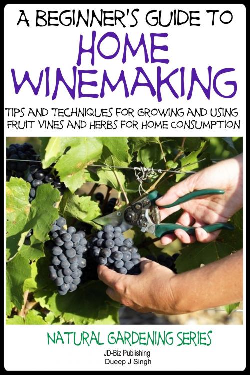 Cover of the book A Beginner’s Guide to Home Winemaking: Tips and Techniques for Growing and Using Fruit Vines and Herbs for Home Consumption by Dueep Jyot Singh, JD-Biz Corp Publishing