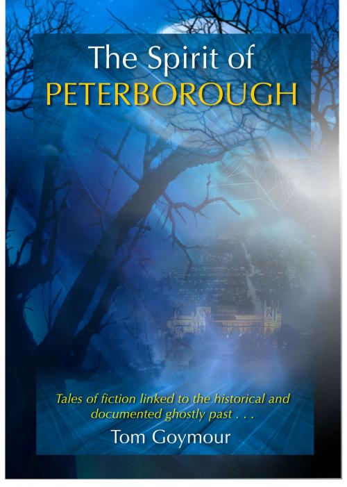 Cover of the book The Spirit of Peterborough by Tom Goymour, Tom Goymour