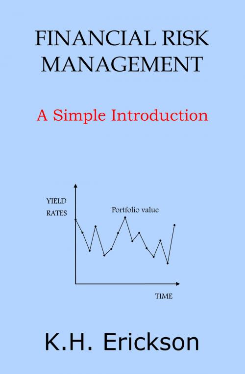 Cover of the book Financial Risk Management: A Simple Introduction by K.H. Erickson, K.H. Erickson