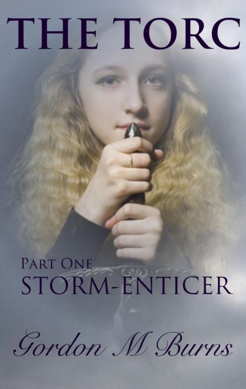 Cover of the book The Torc Part One Storm-enticer by Gordon M Burns, Gordon M Burns