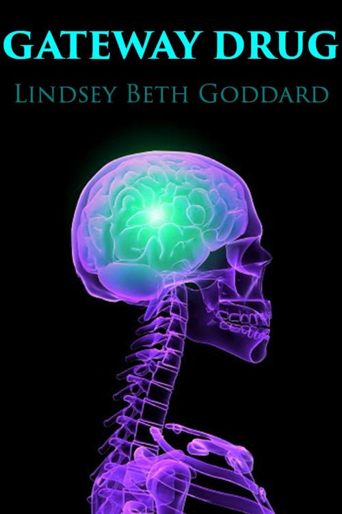 Cover of the book Gateway Drug by Lindsey Goddard, Lindsey Goddard