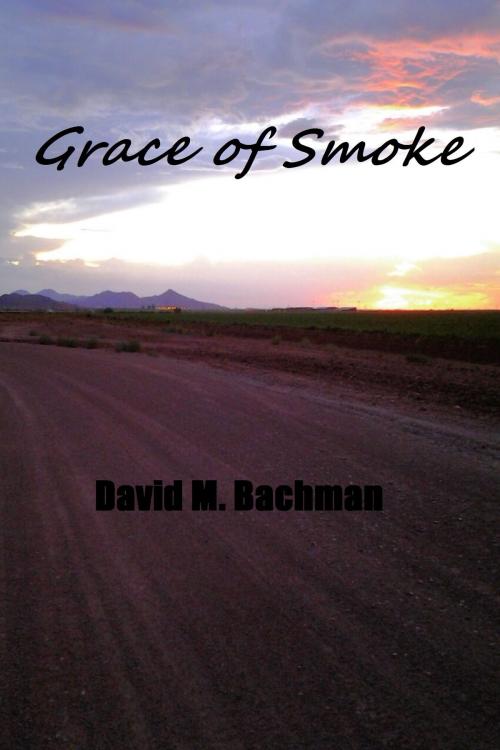 Cover of the book Grace of Smoke by David M. Bachman, David M. Bachman