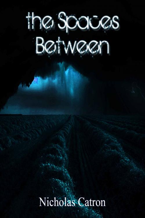 Cover of the book The Spaces Between by Nicholas Catron, Nicholas Catron