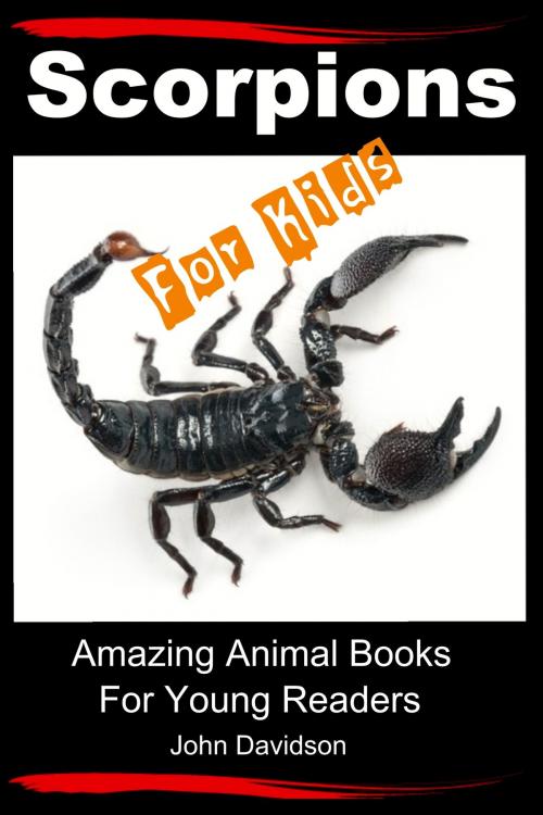 Cover of the book Scorpions For Kids: Amazing Animal Books For Young Readers by John Davidson, JD-Biz Corp Publishing
