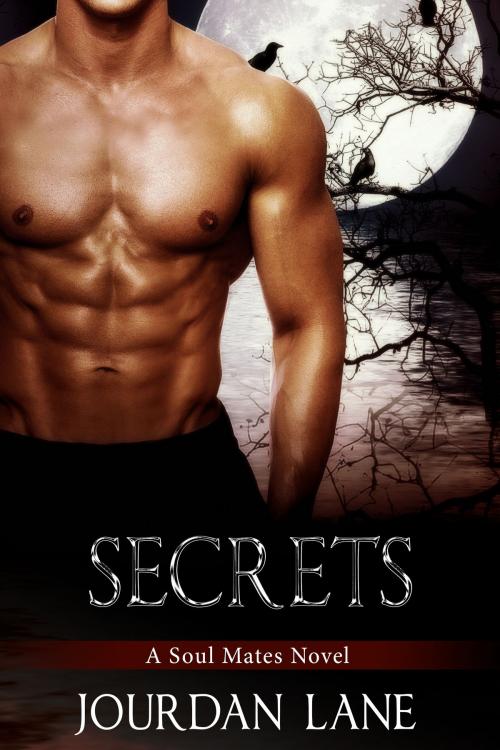 Cover of the book Secrets by Jourdan Lane, Jourdan Lane