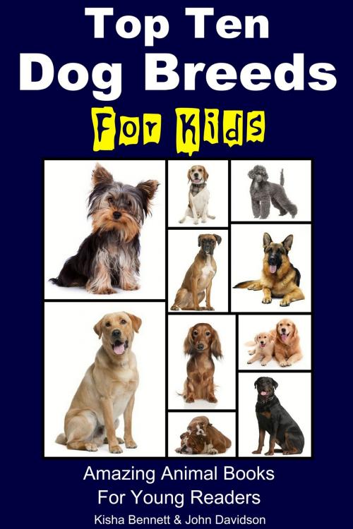 Cover of the book Top Ten Dog Breeds for Kids: Amazing Animal Books for Young Readers by K. Bennett, John Davidson, JD-Biz Corp Publishing