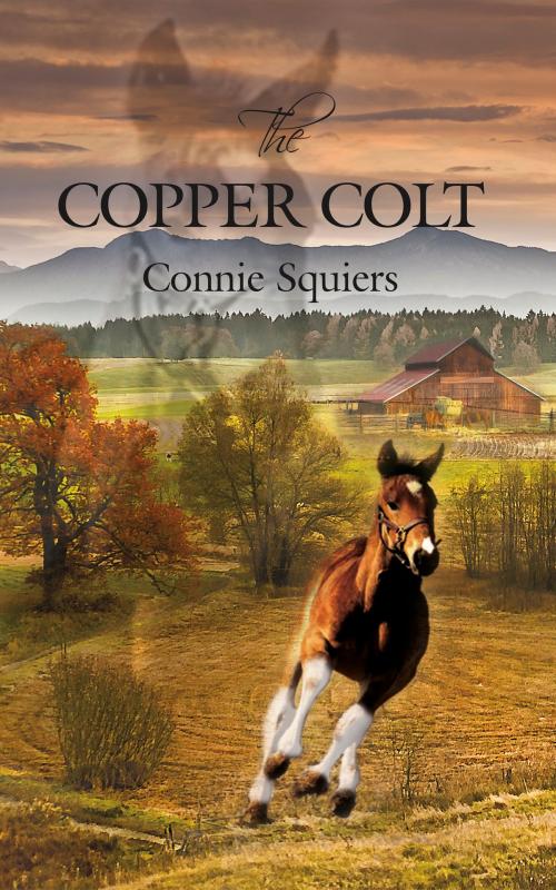 Cover of the book The Copper Colt by Connie Squiers, Connie Squiers
