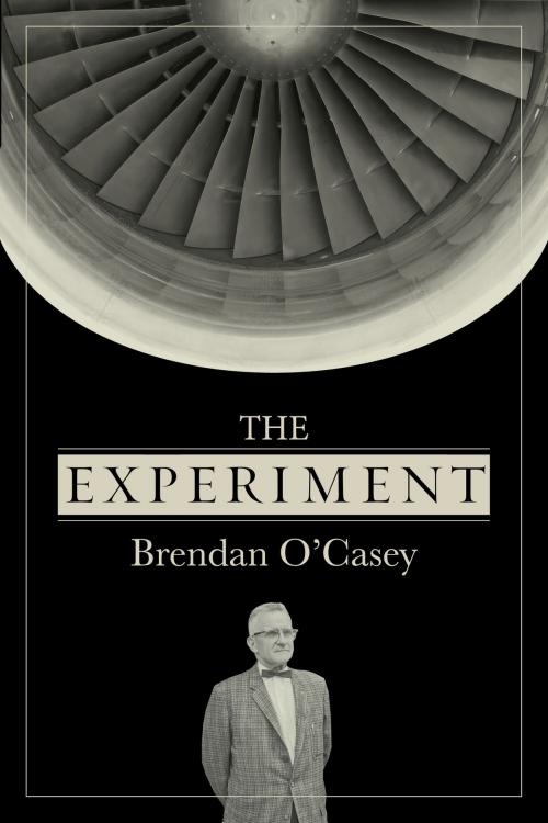 Cover of the book The Experiment by Brendan O' Casey, Brendan O' Casey