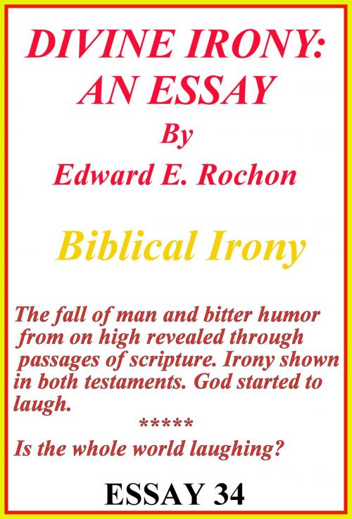 Cover of the book Divine Irony: An Essay by Edward E. Rochon, Edward E. Rochon