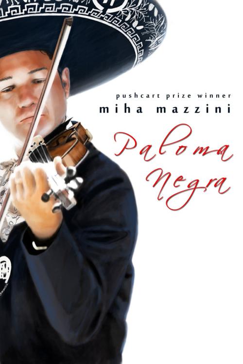 Cover of the book Paloma Negra by Miha Mazzini, Open Books