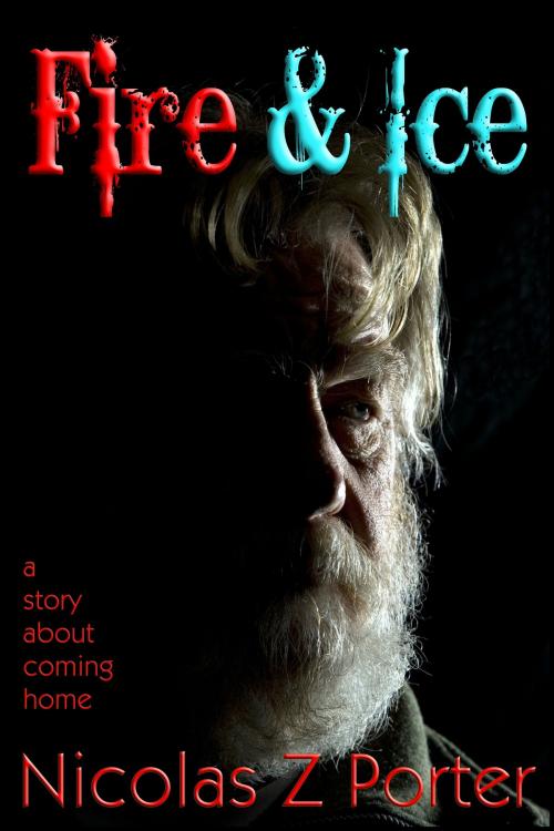 Cover of the book Fire & Ice by Nicolas Z Porter, StoneThread Publishing