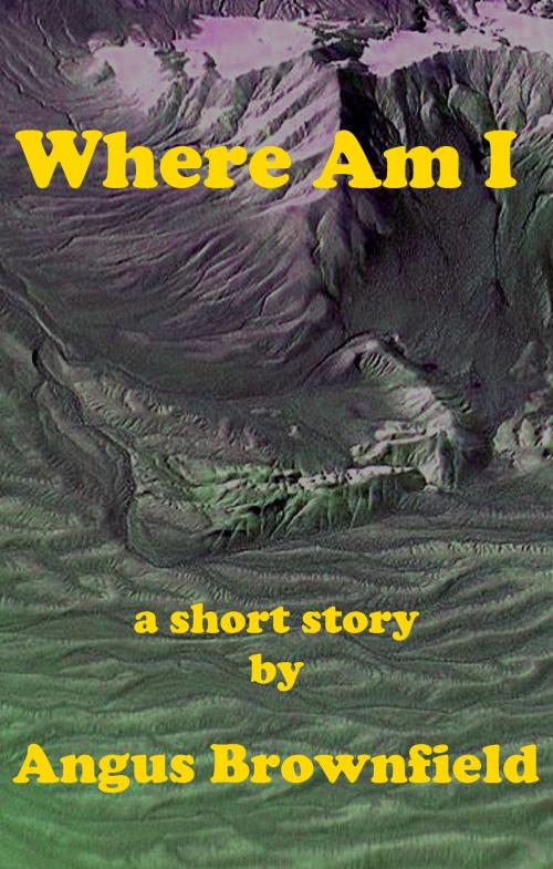 Cover of the book Where Am I? by Angus Brownfield, Angus Brownfield