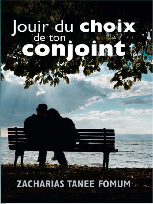 Cover of the book Jouir Du Choix De Ton Conjoint by Zacharias Tanee Fomum, ZTF Books Online