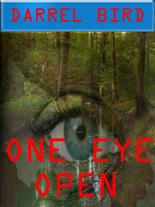 Cover of the book One Eye Open by Darrel Bird, Darrel Bird