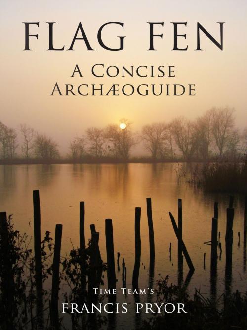 Cover of the book Flag Fen: A Concise Archæoguide by Francis Pryor, Francis Pryor