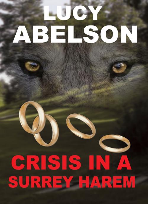 Cover of the book Crisis in a Surrey Harem by Lucy Abelson, Lucy Abelson