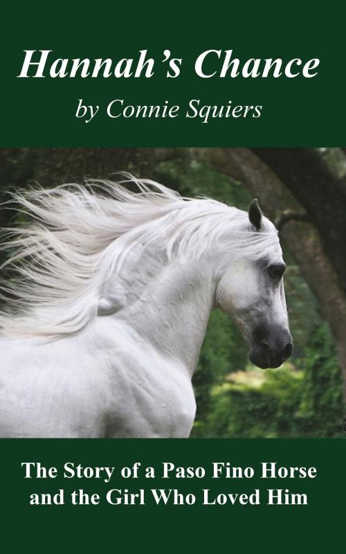 Cover of the book Hannah's Chance by Connie Squiers, Connie Squiers