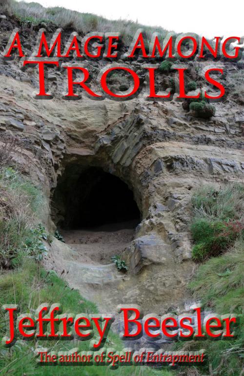 Cover of the book A Mage Among Trolls by Jeff Beesler, Jeff Beesler