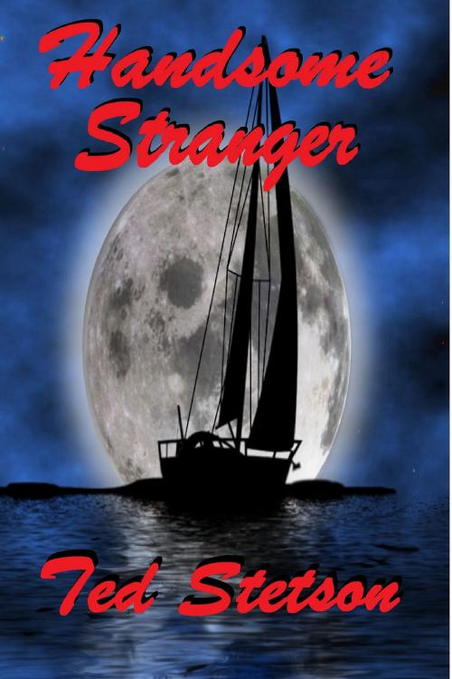 Cover of the book The Handsome Stranger by Ted Stetson, Ted Stetson