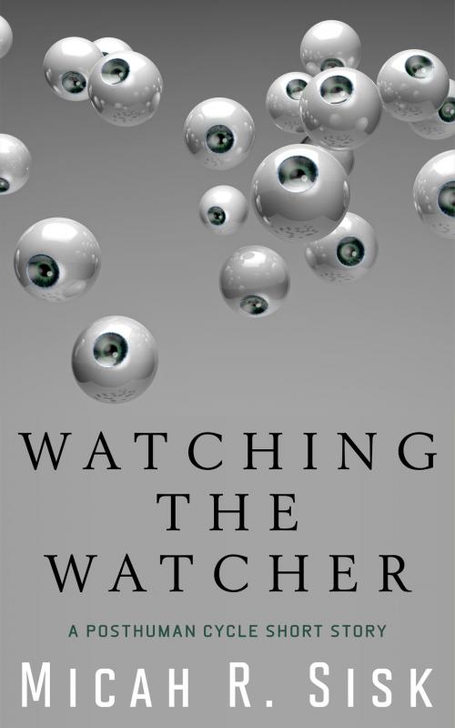 Cover of the book Watching the Watcher by Micah R. Sisk, Micah R. Sisk
