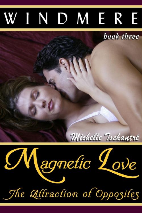 Cover of the book Magnetic Love: The Attraction of Opposites by Michelle Tschantre', Michelle Tschantre'