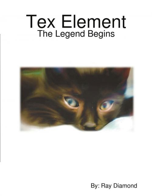 Cover of the book Tex Element by Ray Diamond, Lulu.com