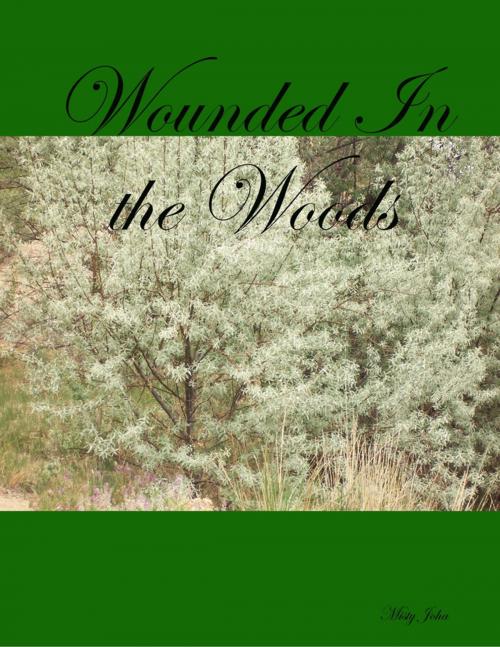 Cover of the book Wounded In the Woods by Misty Joha, Lulu.com