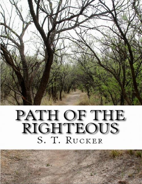Cover of the book Path of the Righteous by S.T. Rucker, Lulu.com