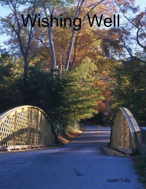 Cover of the book Wishing Well by Justin Tully, Lulu.com