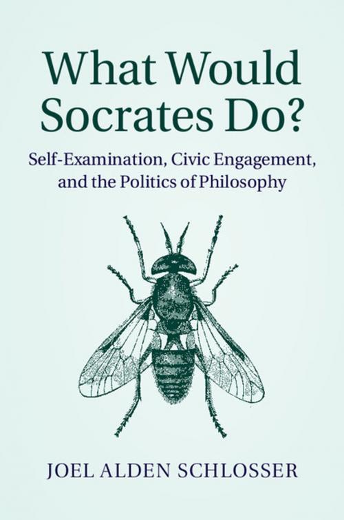 Cover of the book What Would Socrates Do? by Joel Alden Schlosser, Cambridge University Press