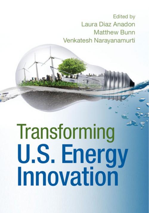 Cover of the book Transforming US Energy Innovation by , Cambridge University Press