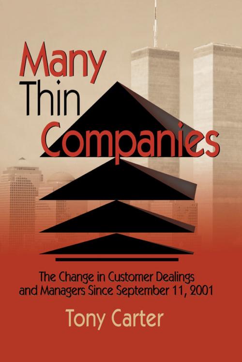 Cover of the book Many Thin Companies by David L Loudon, Tony Carter, Taylor and Francis