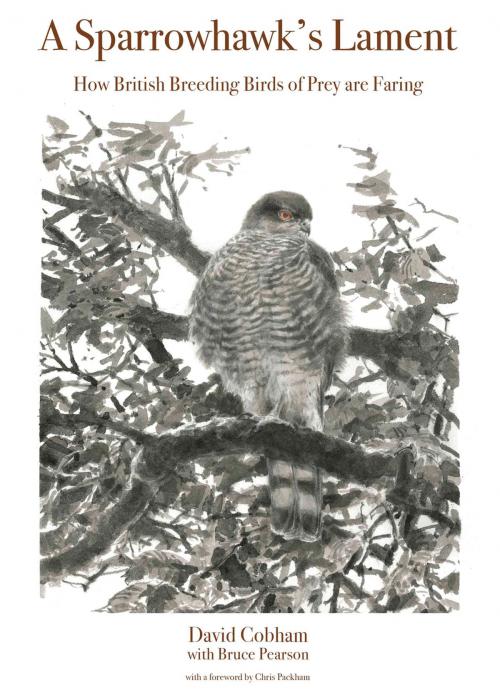 Cover of the book A Sparrowhawk's Lament by David Cobham, Princeton University Press
