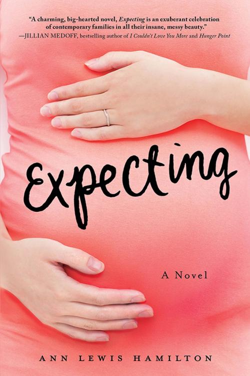 Cover of the book Expecting by Ann Hamilton, Sourcebooks