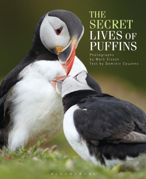 Cover of the book The Secret Lives of Puffins by Mr Dominic Couzens, Bloomsbury Publishing
