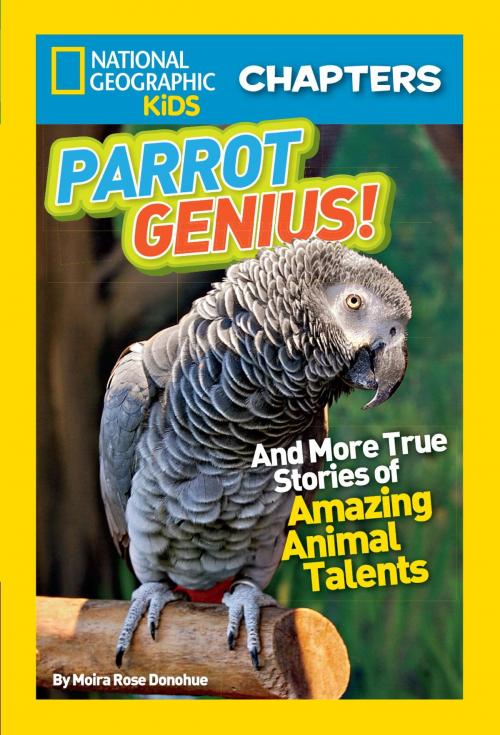Cover of the book National Geographic Kids Chapters: Parrot Genius by Moira Rose Donohue, National Geographic Society