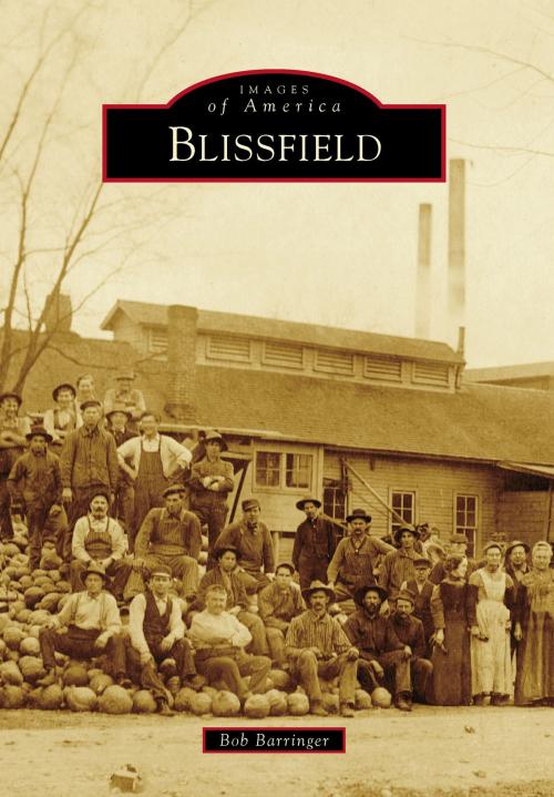 Cover of the book Blissfield by Bob Barringer, Arcadia Publishing Inc.