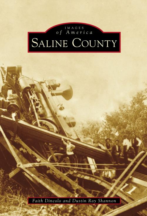 Cover of the book Saline County by Faith Dincolo, Dustin Ray Shannon, Arcadia Publishing Inc.