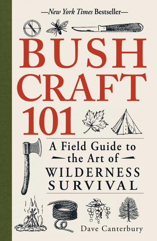 Cover of the book Bushcraft 101 by Dave Canterbury, Adams Media