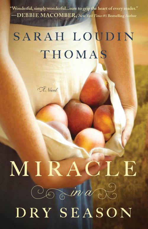 Cover of the book Miracle in a Dry Season (Appalachian Blessings Book #1) by Sarah Loudin Thomas, Baker Publishing Group