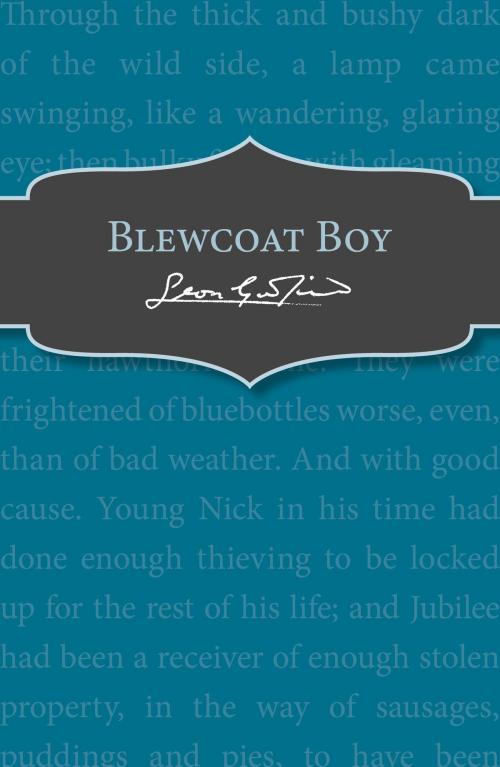 Cover of the book Blewcoat Boy by Leon Garfield, RHCP