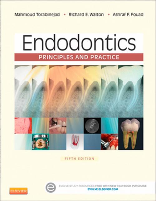 Cover of the book Endodontics - E-Book by Ashraf Fouad, Mahmoud Torabinejad, DMD, MSD, PhD, Richard E. Walton, DMD, MS, Elsevier Health Sciences