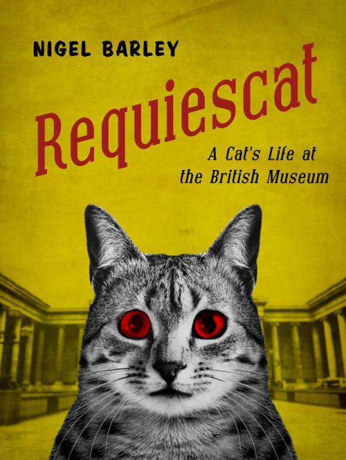 Cover of the book Requiescat by Nigel Barley, eBookIt.com