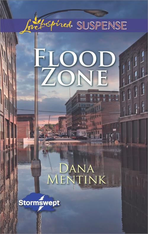 Cover of the book Flood Zone by Dana Mentink, Harlequin