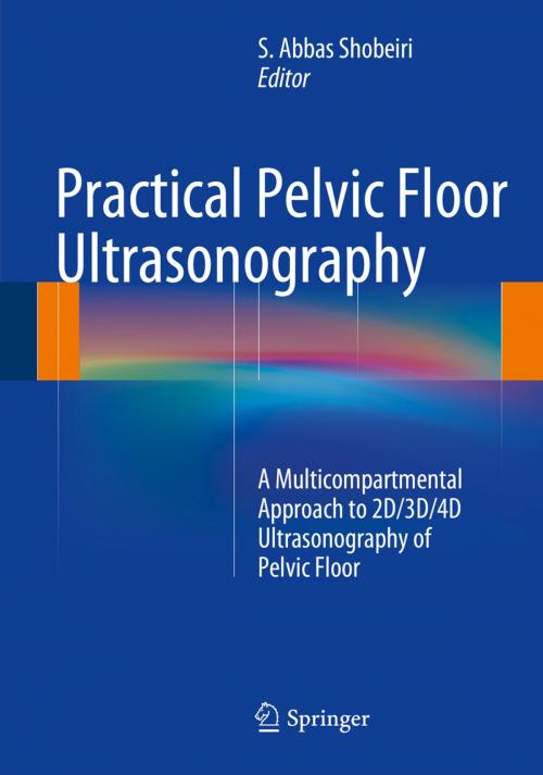 Cover of the book Practical Pelvic Floor Ultrasonography by , Springer New York