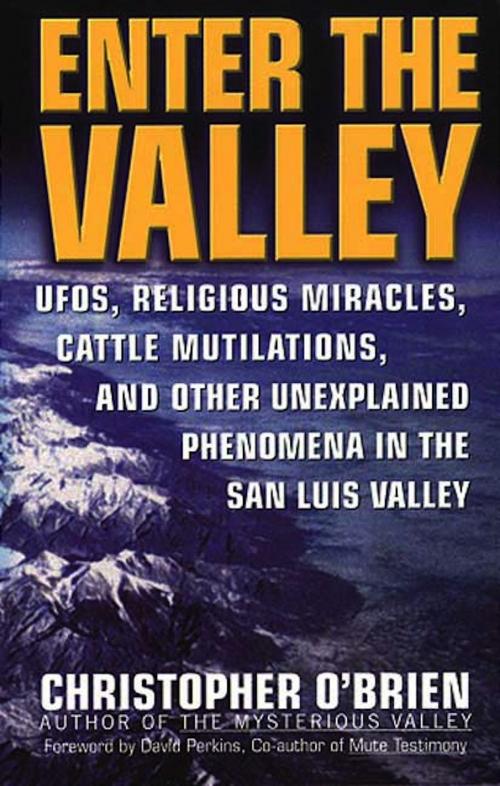 Cover of the book Enter The Valley by Christopher O'Brien, St. Martin's Press